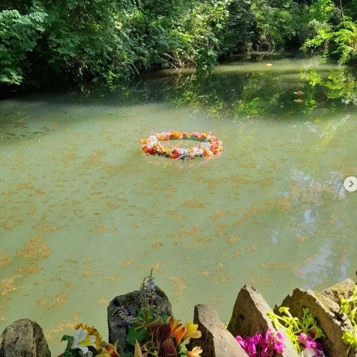 A luminous pool of water decorated with a tropical garland of flowers
